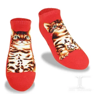 Cat Ankles - Bengal Orange