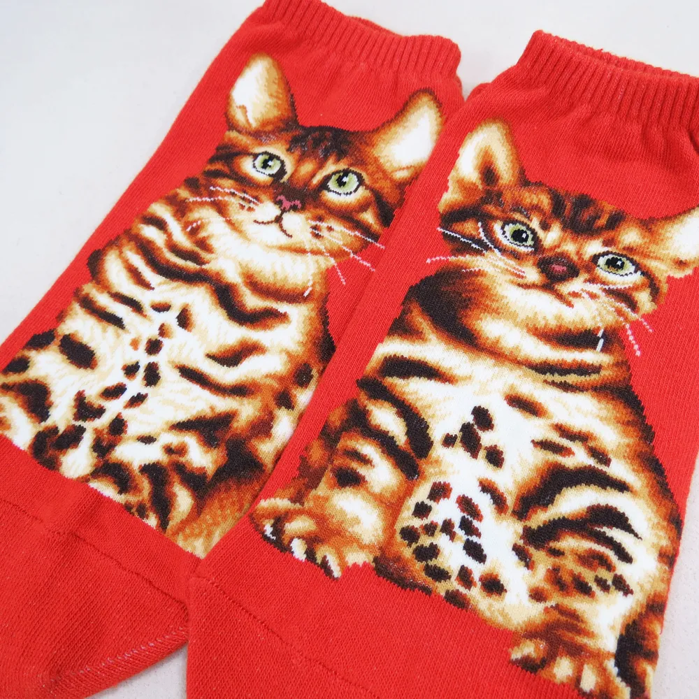 Cat Ankles - Bengal Orange