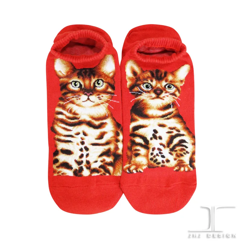 Cat Ankles - Bengal Orange