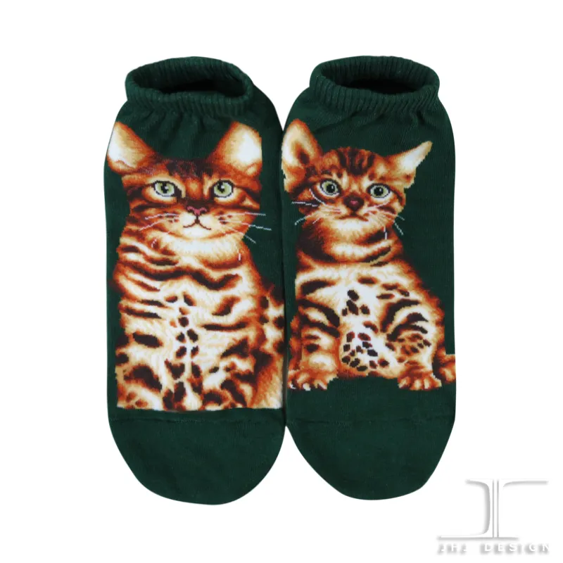 Cat Ankles -  Bengal
