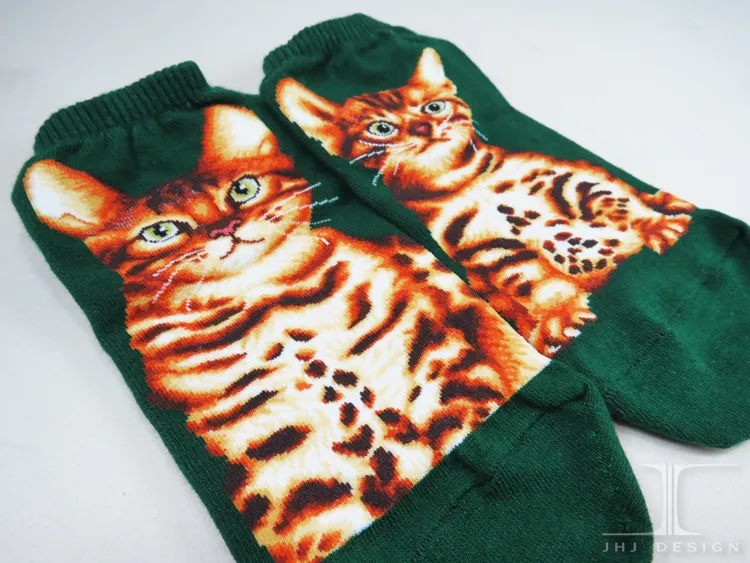 Cat Ankles -  Bengal