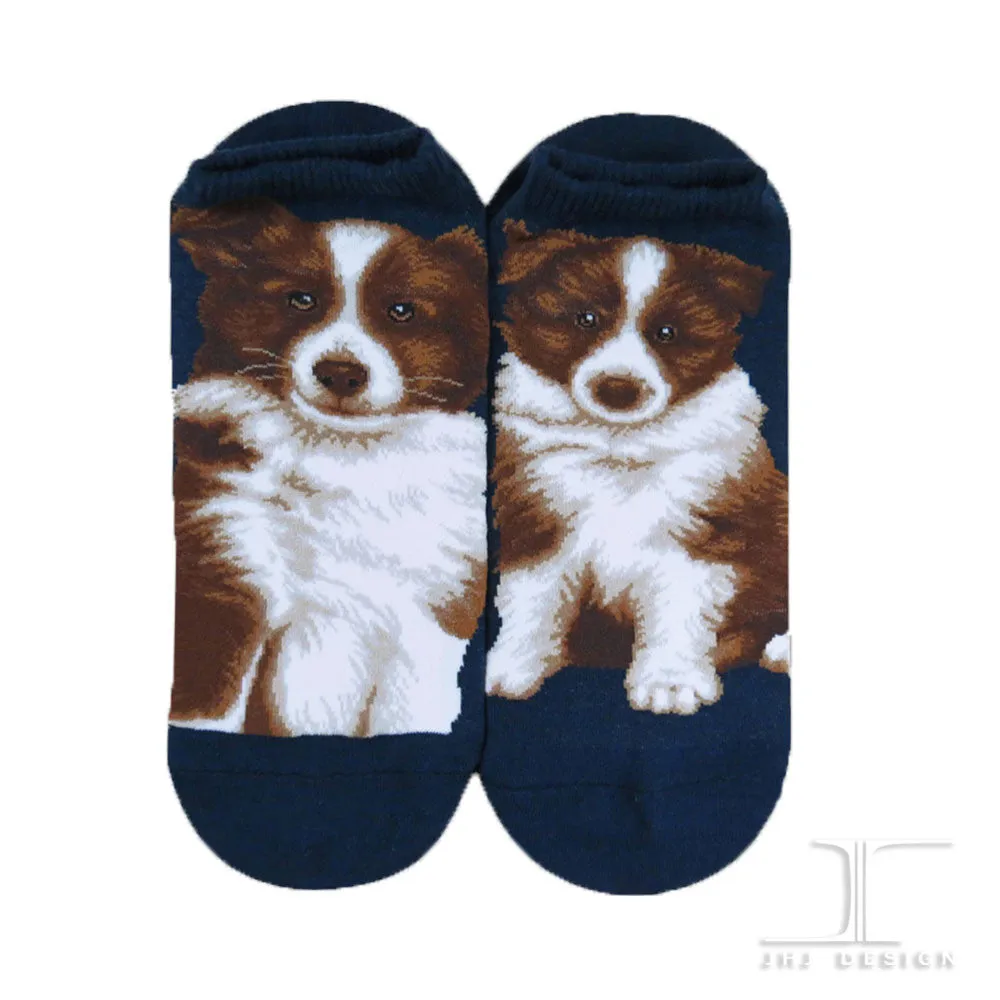 Dogs Ankles - Border Collie Navy