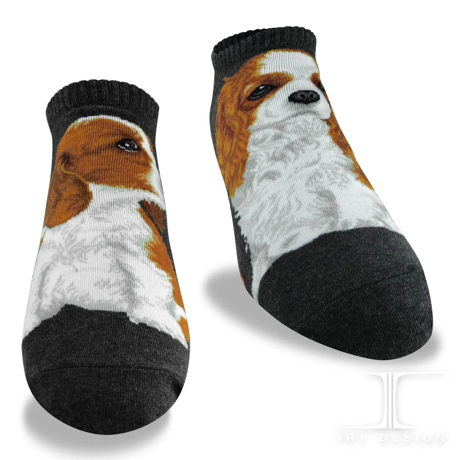 Dogs Ankles - Cavalier King Charles
